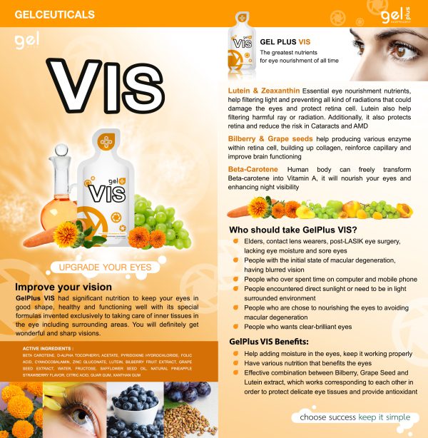 GelPlus VIS - Image 2